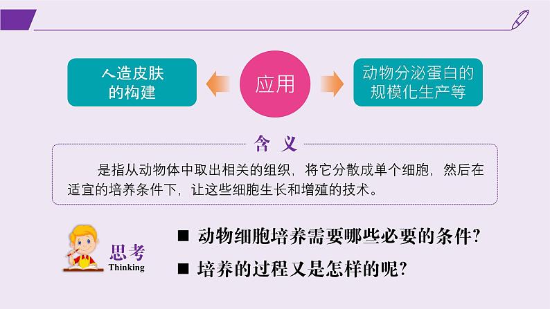 2024-2025学年高中生物同步备课课件（人教版2019）选择性必修三2-2-1动物细胞培养第5页