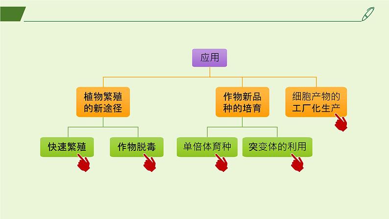 2024-2025学年高中生物同步备课课件（人教版2019）选择性必修三2-1-2植物细胞工程的应用第3页