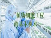 2024-2025学年高中生物同步备课课件（人教版2019）选择性必修三2-1-1植物细胞工程的基本技术