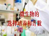 2024-2025学年高中生物同步备课课件（人教版2019）选择性必修三1-2-2微生物的选择培养和计数