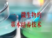 2024-2025学年高中生物同步备课课件（人教版2019）选择性必修三1-2-1微生物的基本培养技术