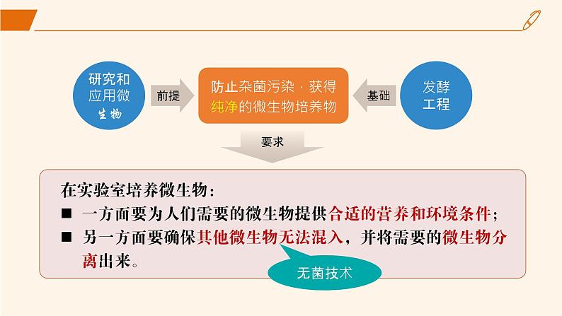 2024-2025学年高中生物同步备课课件（人教版2019）选择性必修三1-2-1微生物的基本培养技术第8页