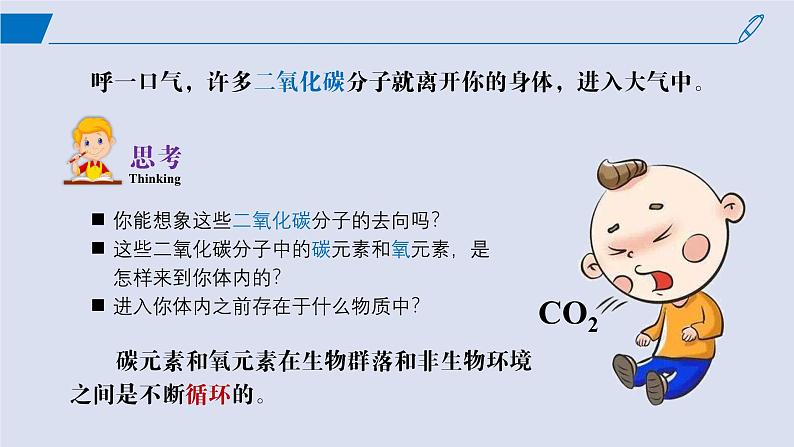 2024-2025学年高中生物同步备课课件（人教版2019）选择性必修二3-3生态系统的物质循环第4页