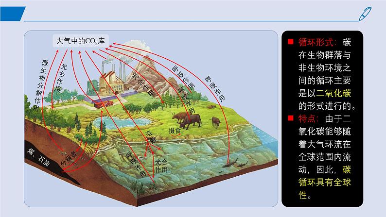 2024-2025学年高中生物同步备课课件（人教版2019）选择性必修二3-3生态系统的物质循环第8页