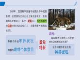 2024-2025学年高中生物同步备课课件（人教版2019）选择性必修二1-1种群的数量特征