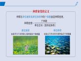 2024-2025学年高中生物同步备课课件（人教版2019）选择性必修二1-1种群的数量特征