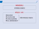 2024-2025学年高中生物同步备课课件（人教版2019）选择性必修二1-1种群的数量特征