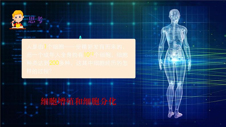 2024-2025学年高中生物同步备课课件（人教版2019）必修一6-2细胞的分化第2页