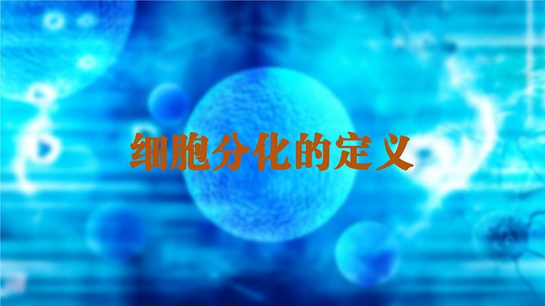 2024-2025学年高中生物同步备课课件（人教版2019）必修一6-2细胞的分化第5页