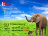 2024-2025学年高中生物同步备课课件（人教版2019）必修一6-1细胞的增殖