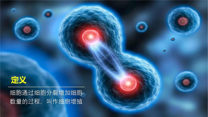 2024-2025学年高中生物同步备课课件（人教版2019）必修一6-1细胞的增殖第4页