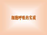 2024-2025学年高中生物同步备课课件（人教版2019）必修一5-3细胞呼吸的原理和应用
