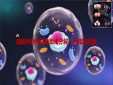 2024-2025学年高中生物同步备课课件（人教版2019）必修一5-3细胞呼吸的原理和应用
