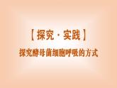 2024-2025学年高中生物同步备课课件（人教版2019）必修一5-3细胞呼吸的原理和应用