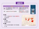 2024-2025学年高中生物同步备课课件（人教版2019）必修一4-1被动运输