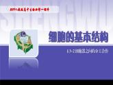 2024-2025学年高中生物同步备课课件（人教版2019）必修一3-2细胞器之间的分工合作