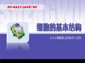 2024-2025学年高中生物同步备课课件（人教版2019）必修一3-2细胞器之间的分工合作