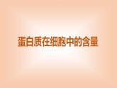 2024-2025学年高中生物同步备课课件（人教版2019）必修一2-4蛋白质是生命活动的主要承担者