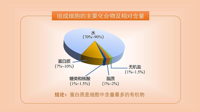 2024-2025学年高中生物同步备课课件（人教版2019）必修一2-4蛋白质是生命活动的主要承担者第4页