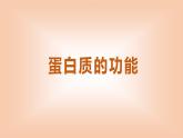 2024-2025学年高中生物同步备课课件（人教版2019）必修一2-4蛋白质是生命活动的主要承担者