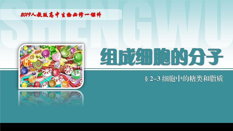 2024-2025学年高中生物同步备课课件（人教版2019）必修一2-3细胞中的糖类和脂质第1页