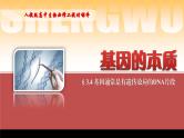 2024-2025学年高中生物同步备课课件（人教版2019）必修二3-4基因通常是有遗传效应的DNA片段