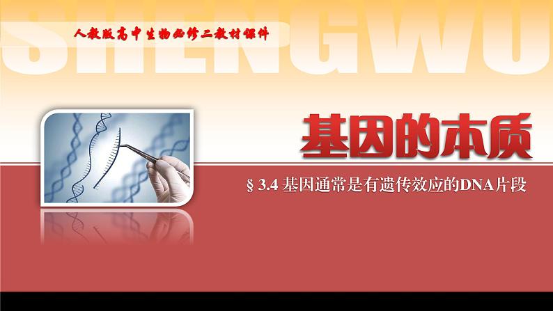 2024-2025学年高中生物同步备课课件（人教版2019）必修二3-4基因通常是有遗传效应的DNA片段第1页