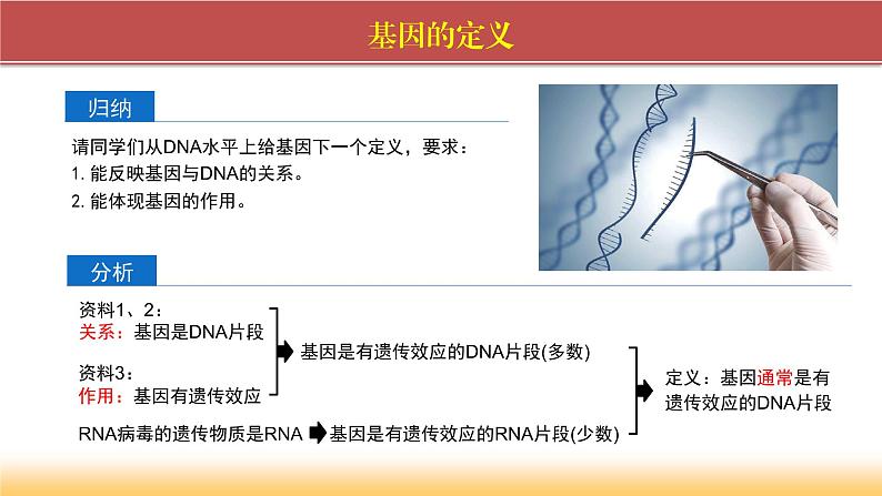 2024-2025学年高中生物同步备课课件（人教版2019）必修二3-4基因通常是有遗传效应的DNA片段第5页