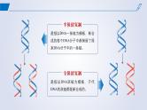 2024-2025学年高中生物同步备课课件（人教版2019）必修二3-3DNA的复制