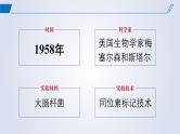 2024-2025学年高中生物同步备课课件（人教版2019）必修二3-3DNA的复制
