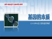 2024-2025学年高中生物同步备课课件（人教版2019）必修二3-1DNA是主要的遗传物质