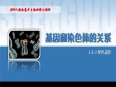 2024-2025学年高中生物同步备课课件（人教版2019）必修二2-3伴性遗传