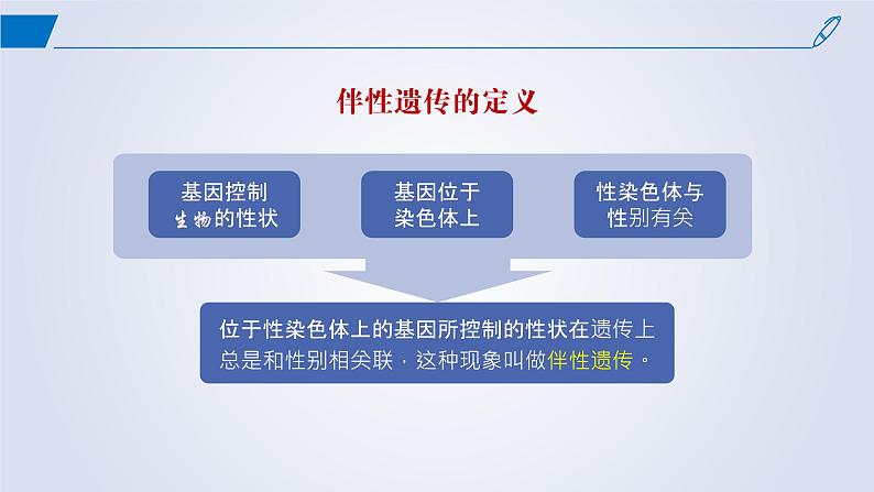 2024-2025学年高中生物同步备课课件（人教版2019）必修二2-3伴性遗传第6页