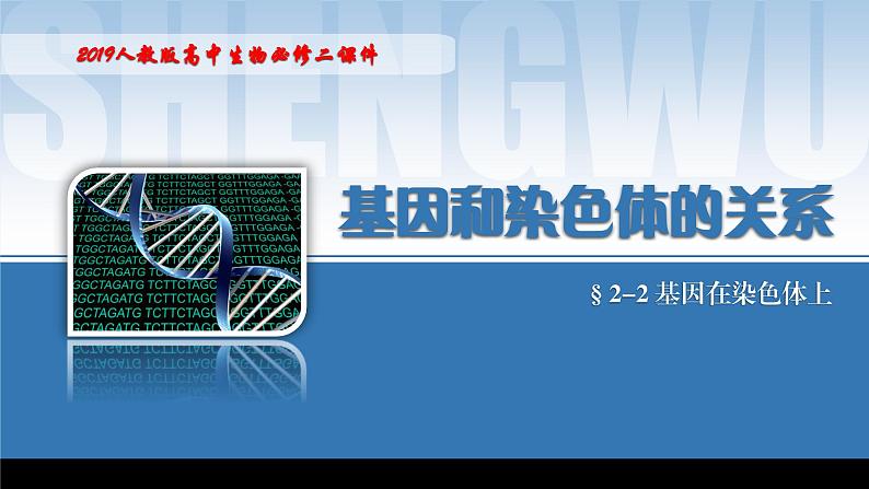 2024-2025学年高中生物同步备课课件（人教版2019）必修二2-2基因在染色体上第1页