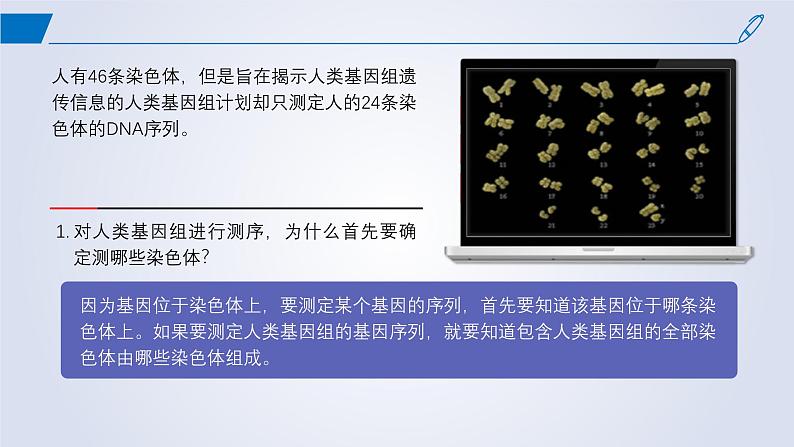 2024-2025学年高中生物同步备课课件（人教版2019）必修二2-2基因在染色体上第2页