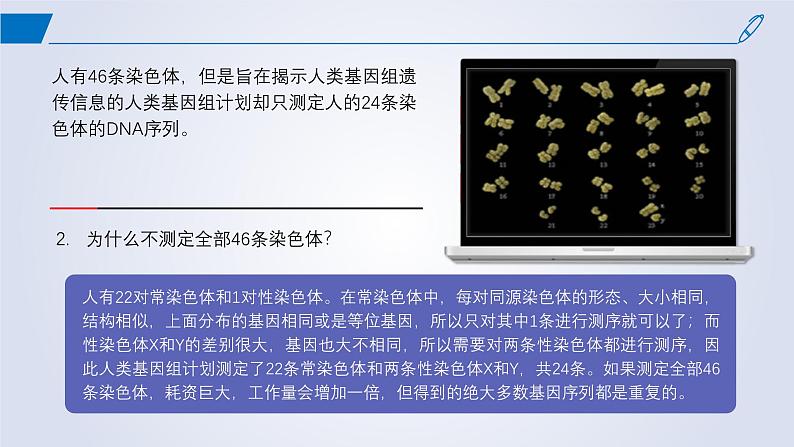 2024-2025学年高中生物同步备课课件（人教版2019）必修二2-2基因在染色体上第3页