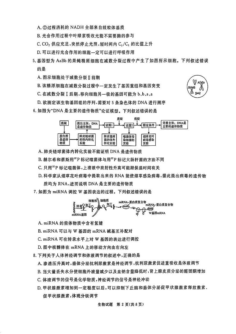 2025河南省青桐鸣大联考高三下学期2月月考试题生物PDF版含解析第2页