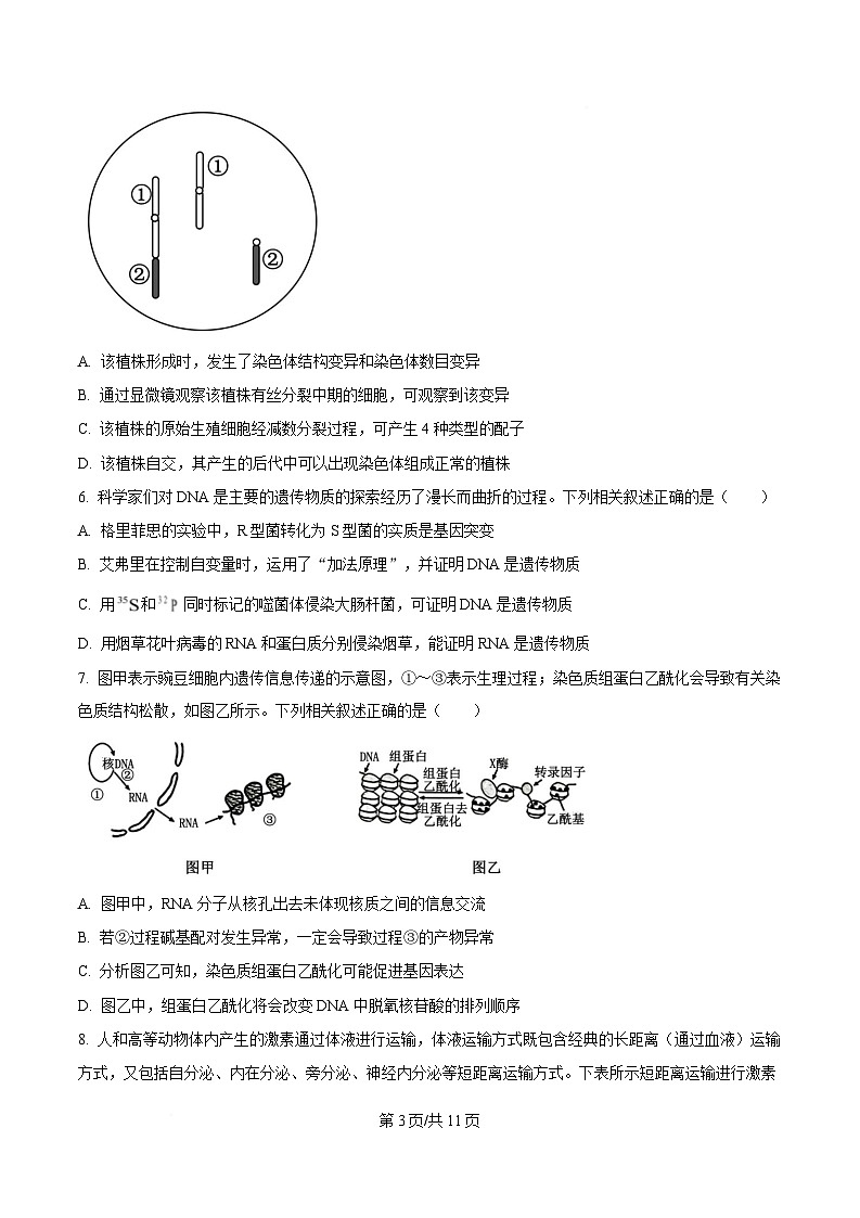 安徽省A10联盟2024-2025学年高三下学期开学考试生物试卷  Word版无答案第3页