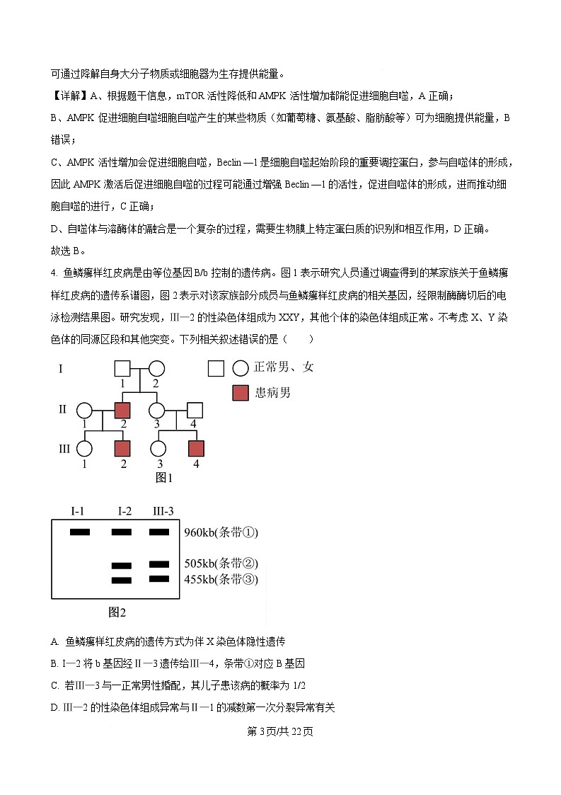 安徽省A10联盟2024-2025学年高三下学期开学考试生物试卷  Word版含解析第3页