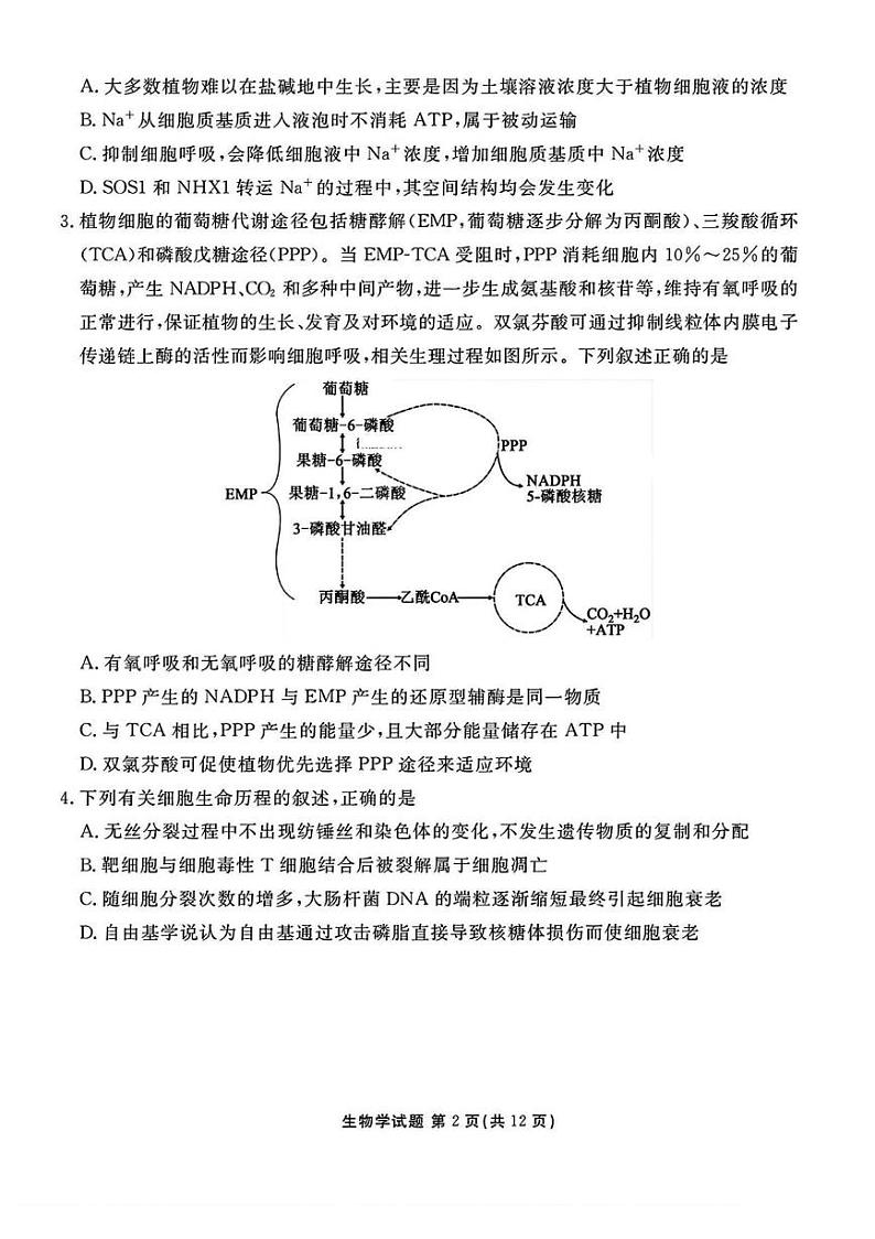 山西省衡水金卷2024-2025学年高三下学期2月开学联考生物试题（PDF版附解析）第2页