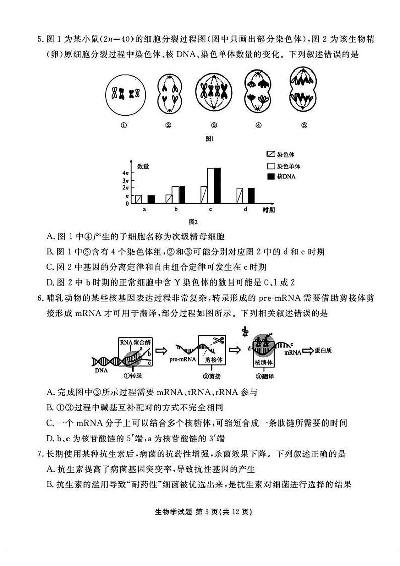 山西省衡水金卷2024-2025学年高三下学期2月开学联考生物试题（PDF版附解析）第3页
