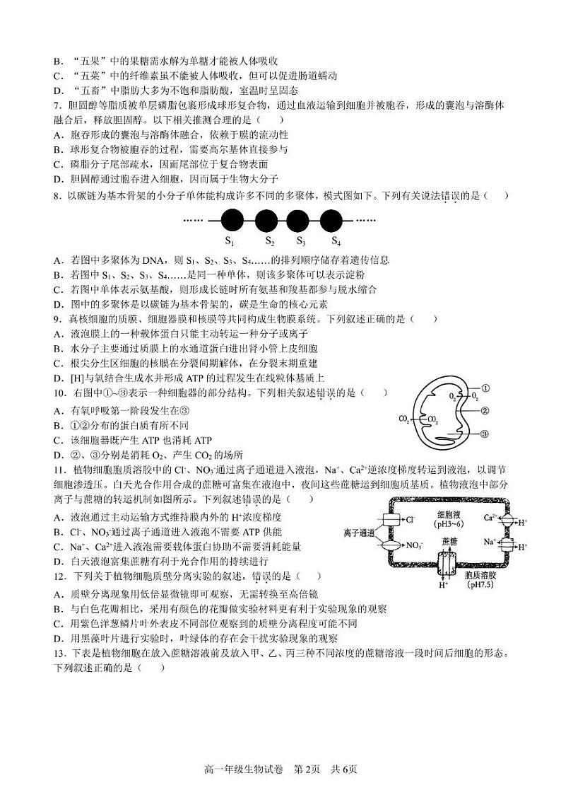合肥六校联盟2024-2025学年第一学期期末联考高一年级生物 生物试卷第2页
