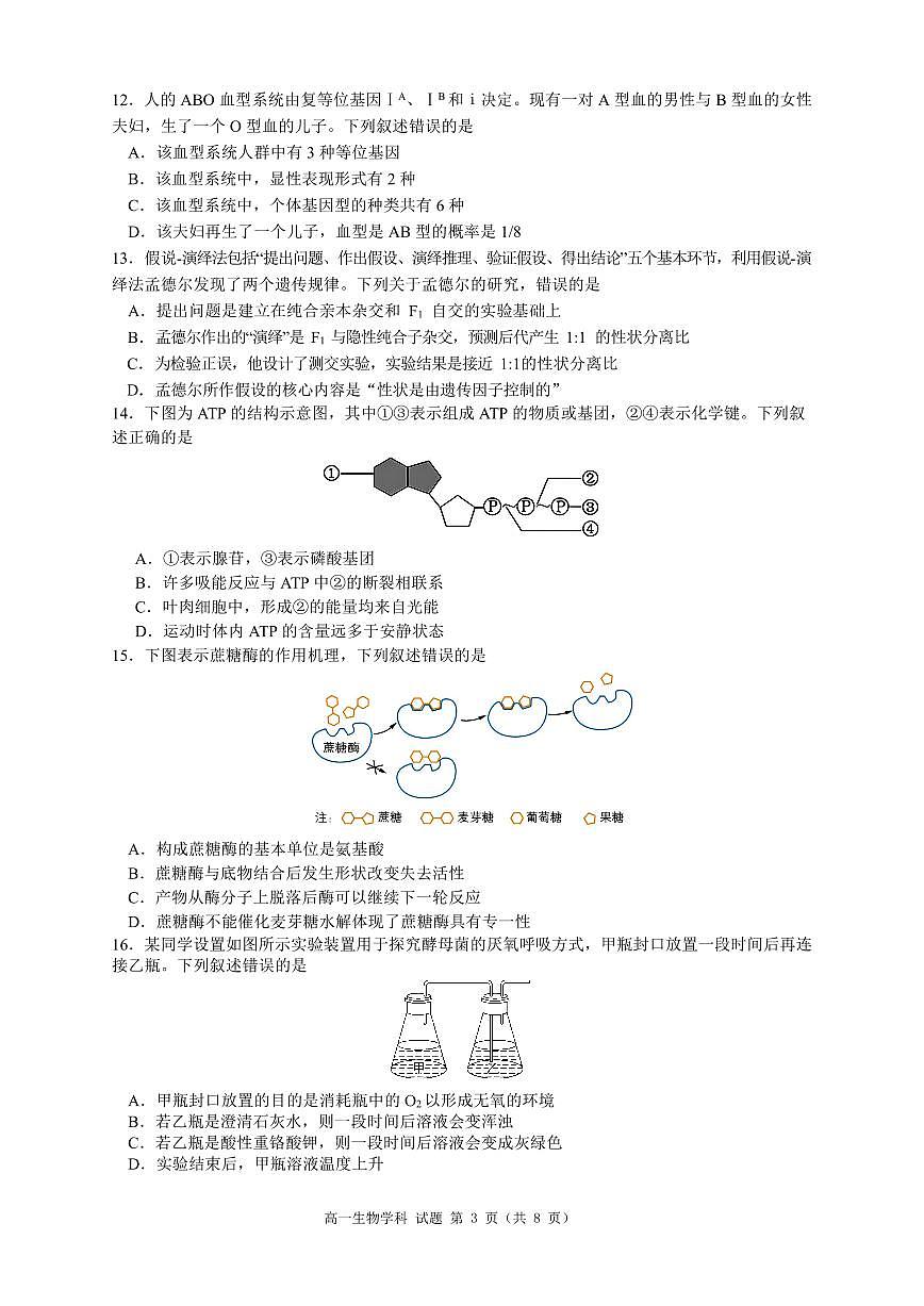 生物试卷-浙南名校联盟2024-2025高一寒假返校考第3页