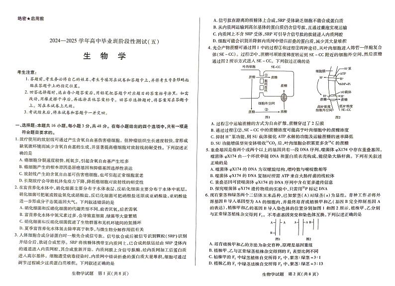 生物-河南天一大联考2024-2025学年高三下学期阶段性测试（五）第1页