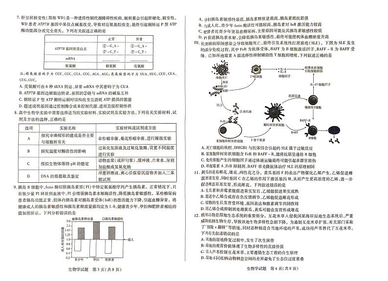 生物-河南天一大联考2024-2025学年高三下学期阶段性测试（五）第2页