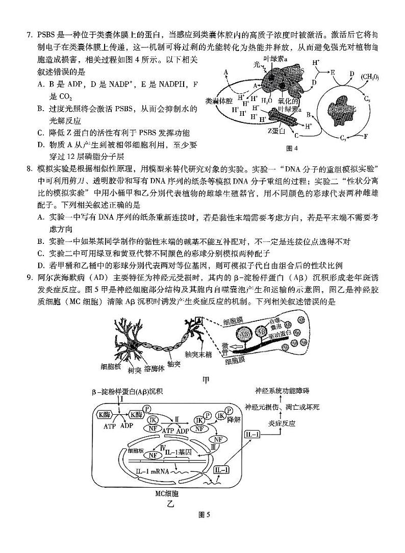 巴蜀中学2025届高三下学期适应性月考卷（五）生物+答案第3页