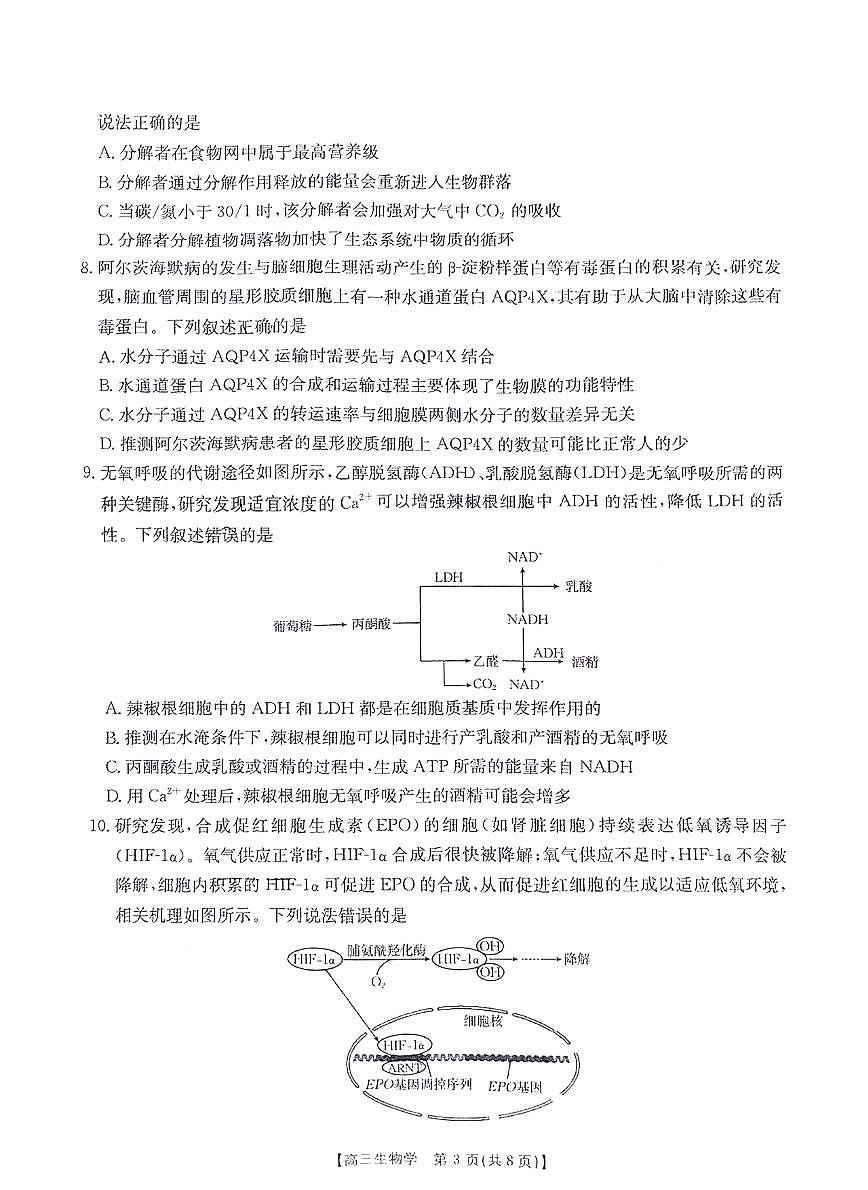 河南省金太阳2025年2月高三年级下学期2月份联考-生物试卷+答案第3页
