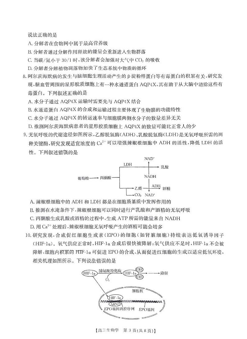河南省金太阳2025年2月高三年级下学期2月份联考-生物试卷+答案第3页