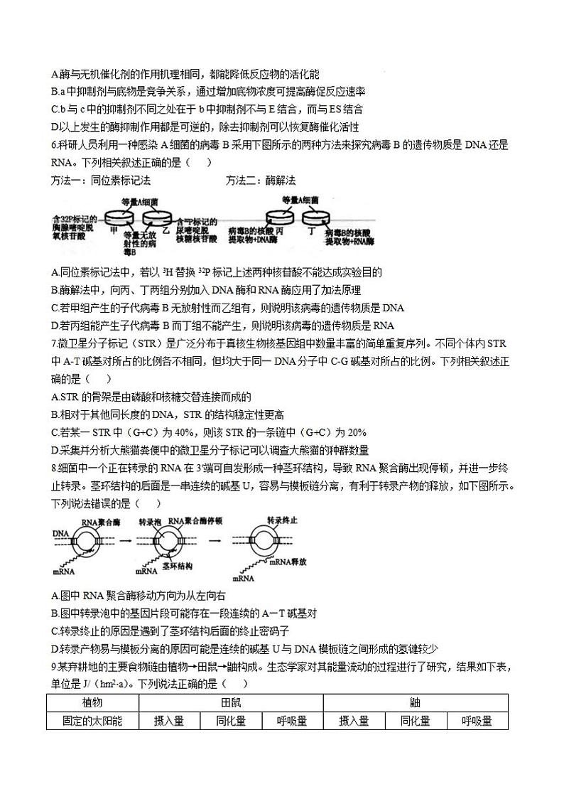生物-江苏省扬州市高邮市2024-2025学年高三下学期开学考第2页