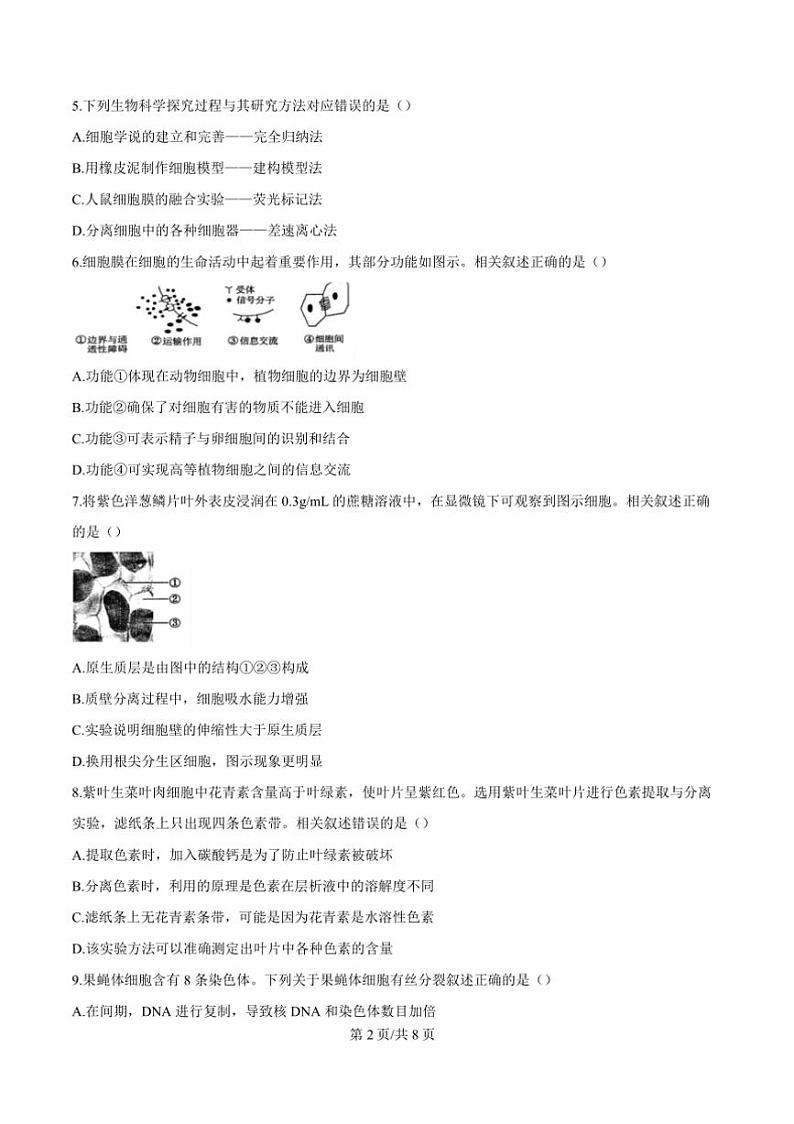 2024～2025学年广东省东莞市高一上1月期末考试生物试卷(含答案)第3页